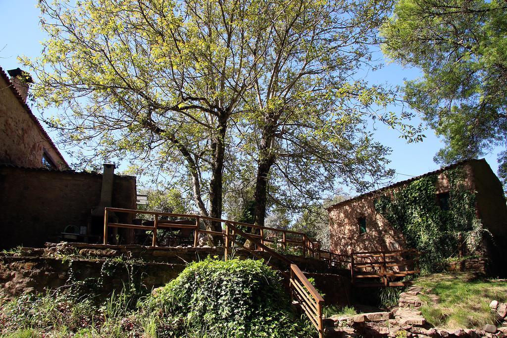 Sete Quintas Miranda do Corvo Luaran gambar